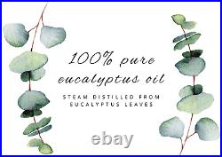 1 Gallon Eucalyptus Globulus Essential Oil (100% Pure & Natural) GreenHealth