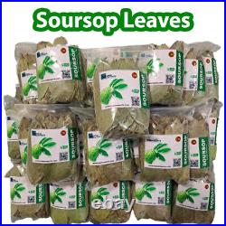 20,000 Soursop Leaves 22lb Dried Graviola Guanabana Hojas Organic Ceylon 10Kg