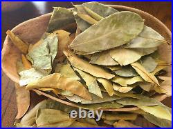 20,000 Soursop Leaves 22lb Dried Graviola Guanabana Hojas Organic Ceylon 10Kg