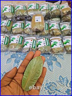 20,000 Soursop Leaves 22lb Dried Graviola Guanabana Hojas Organic Ceylon 10Kg