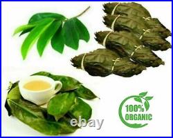 5000+ Soursop Leaves Leaf Graviola OJAS DE GUANABANA 100% Pure Natural Organic