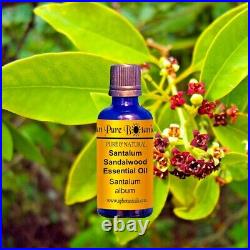 50+ Bulk Essential Oils Therapeutic Grade 100% Pure! Natural MANY SIZES