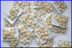 50 PACKS (600) Nuez de la India, GARANTIZADA, indian nut seed weight loss