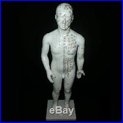 70cm Acupuncture Model with Manual (Full Body) Anatomical Medical Anatomy
