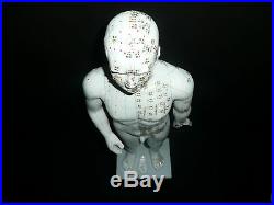 70cm Acupuncture Model with Manual (Full Body) Anatomical Medical Anatomy