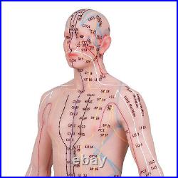 Acupuncture Model 48/55cm Human Acupoint Silicone Doll English Marking