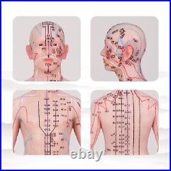 Acupuncture Model 48/55cm Human Acupoint Silicone Doll English Marking