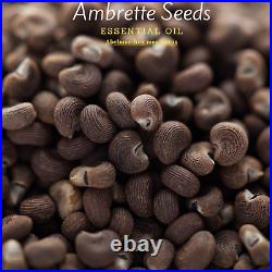 Ambrette Seed Essential Oil 100% Pure, Undiluted, Organic, (Abelmoschus moscha)