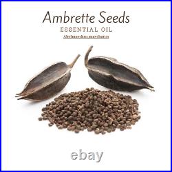 Ambrette Seed Essential Oil 100% Pure, Undiluted, Organic, (Abelmoschus moscha)