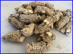 American Ginseng Half Wild Wisconsin 7 years 1LB Root SALE