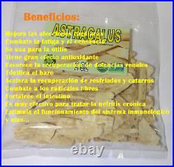 Astragalus, Astragalo, astrágalo, raiz de astragalo, huáng qí, milkvetch root