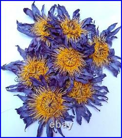 BLUE LOTUS Nymphaea Caerulea Dried Flowers 100% Natural Organic Ceylon Herbal +