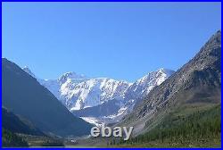 BULK WHOLESALE Altai SHILAJIT 11.02lb (5 kilograms) Pure Mumijo, Moomiyo, Mumio