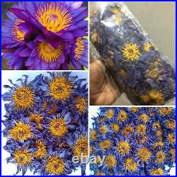 Blue Lotus Flower Nymphaea Caerulea Dried Flower Organic Herbal Tea / smoke