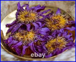 Blue Lotus Nymphaea Caerulea 100% Organic Herbal Hand Picked Pure Dried Flowers