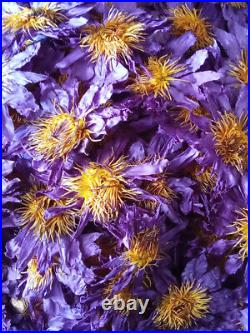 Blue Lotus Nymphaea Caerulea Hand Picked Sun Dried Flowers Pure Herbal Organic