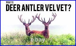 Boost Male Stamina Capsules Deer Antler Plus 550mg Saw Palmetto 2B