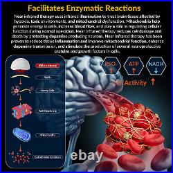 Brain Photobiomodulation (PBM) with Near Infrared LEDs 810nm Helmet Brain