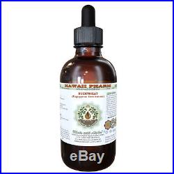 Buckwheat Alcohol-FREE Dried Sprouting Seeds Liquid Extract