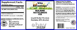 Bulbine Natalensis 101 Tincture/Extract Bodybuilding Muscle Gain