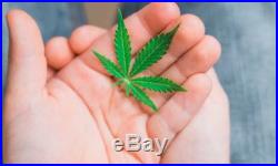 Cannabis Essential Hemp Oil 100% Pure Organic Therapeutic Pain Stress Relief 2oz