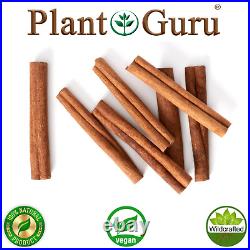 Cinnamon Sticks Cassia Cut Vera 100% Pure Cinnamomum Canela 2.75, 4, 6 Inches