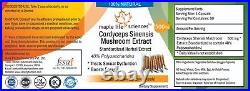 Cordyceps Sinensis Mushroom Extract Capsules, 40% Polysaccharides, NO Fillers