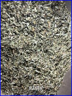 DAMIANA bulk WHOLESALE leaf ORGANIC herb 1 5 10 15 25 50 75 100 lbs Oz FREE ship