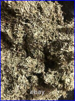 DAMIANA bulk WHOLESALE leaf ORGANIC herb 1 5 10 15 25 50 75 100 lbs Oz FREE ship