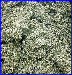 Damiana Amazing Bulk Natural Sex Herb Tea Leaf Organic 1 2 4 5 lb pound
