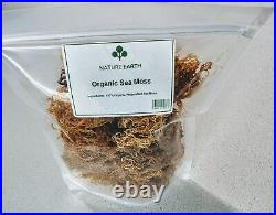 Dr Sebi Grade Sea Moss Seamoss Ocean Grown 50g-20kg Chondrus Crispus Irish Moss