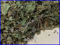 Dream Herb, Calea zacatechichi, Bulk Organic Leaf Schmerbals Herbals