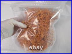 Dried Cordyceps Militaris USA grown with pride in Tennessee from USA strains