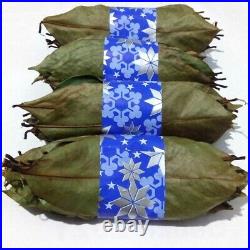 Dried SOURSOP LEAVES 10000+ Hojas De Guanabana Organic Herbal Natural Drink TEA