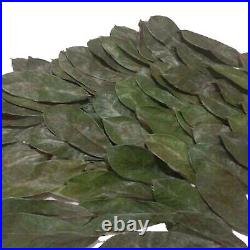 Dried Sour sop Leaf Organic natural pure Soursop Guanabana Graviola sri lanka