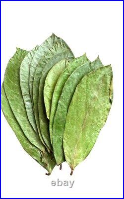 Dried Soursop Leaves Healthy leaf Organic Pure Grade A Quality Leaves