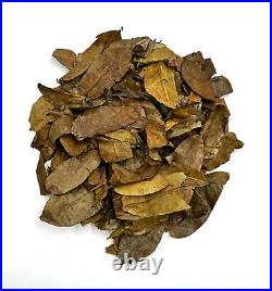 Dried Soursop Leaves Natural Graviola Soursop Tea Leaves, Hojas de Guanabana