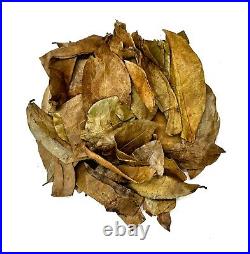 Dried Soursop Leaves Natural Graviola Soursop Tea Leaves, Hojas de Guanabana