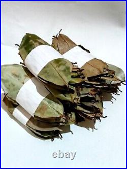 Dried soursop leaves OJAS DE GUANABANA GRAVIOLA Soursop Leaves 500 Natural tea