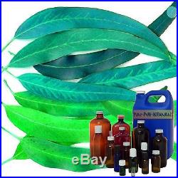 Eucalyptus Radiata Essential Oil 100% Pure Therapeutic Sizes 3 ml 1 Gallon