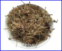 Eupatorium cannabinum Hemp-agrimony Grass Dried Medicinal plants 5 Kg 176.4 Oz