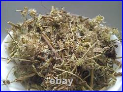 Eupatorium cannabinum Hemp-agrimony Grass Dried Medicinal plants 5 Kg 176.4 Oz