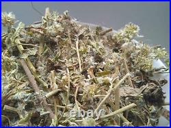 Eupatorium cannabinum Hemp-agrimony Grass Dried Medicinal plants 5 Kg 176.4 Oz