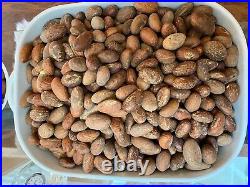 Fresh Organic West African Bitter Kola Nut-garcinia Kola (orogbo Kola Nut) 0.5lb