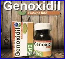 Genoxidil Set of 5? Best Price For Your Money On EBay