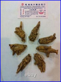 Ginseng Half Wild 7 year from Wisconsin USA 1LB
