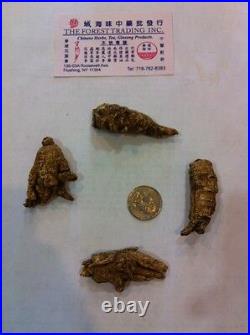 Ginseng Half Wild 7 year from Wisconsin USA 1LB