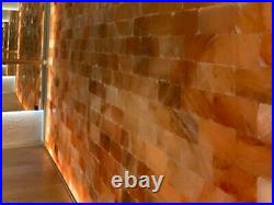 Himalayan Salt Tiles Size 8x4x2 for Build Salt Room Pack of 10 Home Improvement