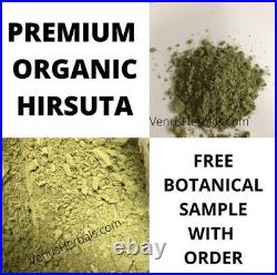 Hirsuta Tea Kilo 1000 Grams Free Priority Shipping