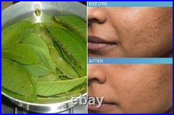 Hojas de Guayaba, Mexican Guava Leaves, Organic dried leaves 100% Natural Detox